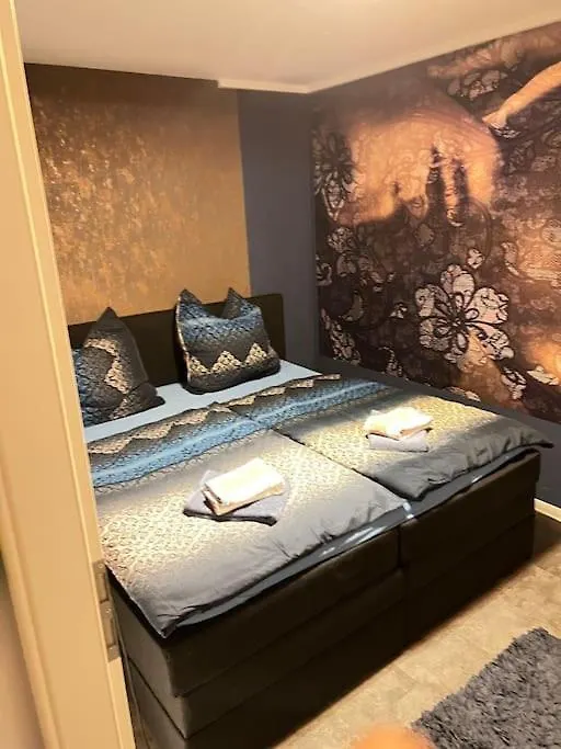Luxurious Apartment With Sauna 科隆